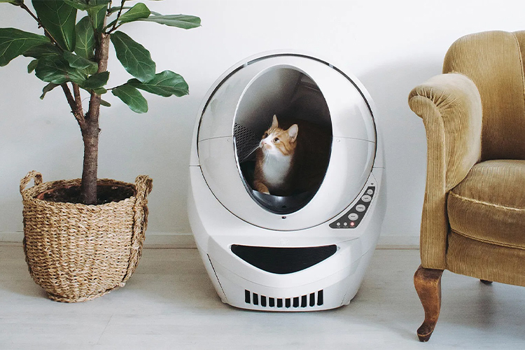 Litter-Robot