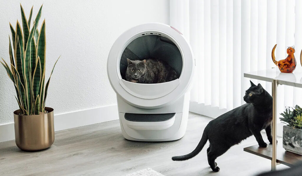 Litter Robot Featured Image