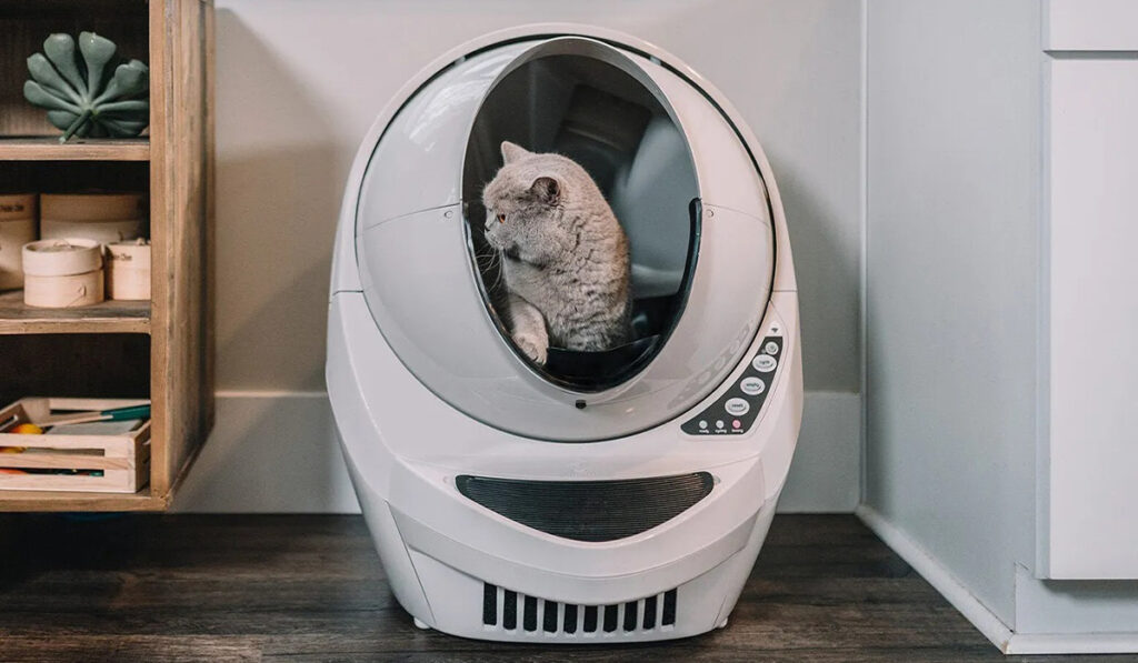 Grab the savings: The Litter Robot Black Friday Sale offers great deals